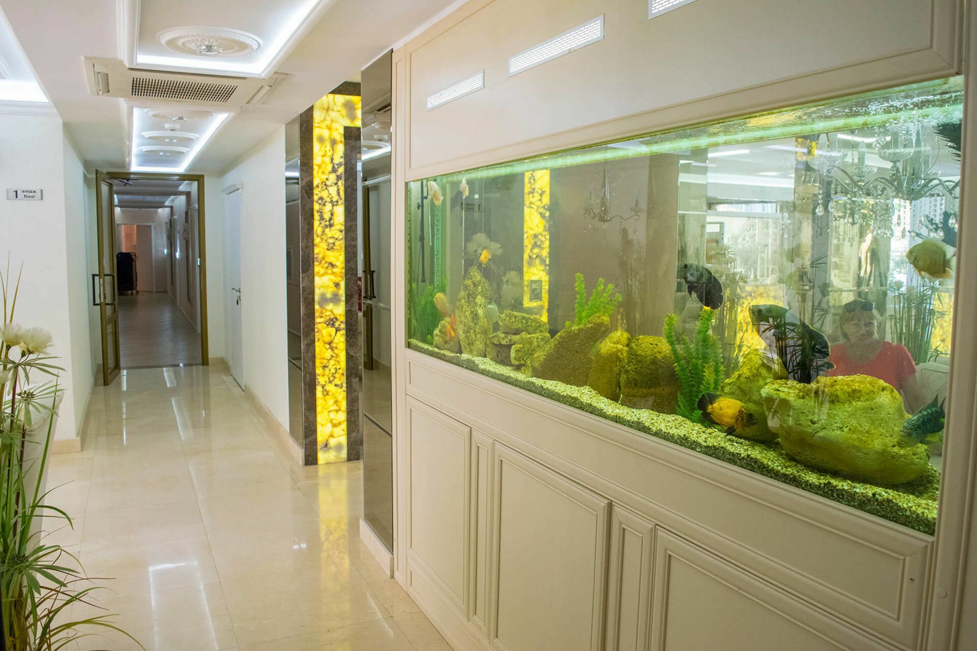 Harmony Suites - Dream Island Slăntjev Brjag Exteriör bild